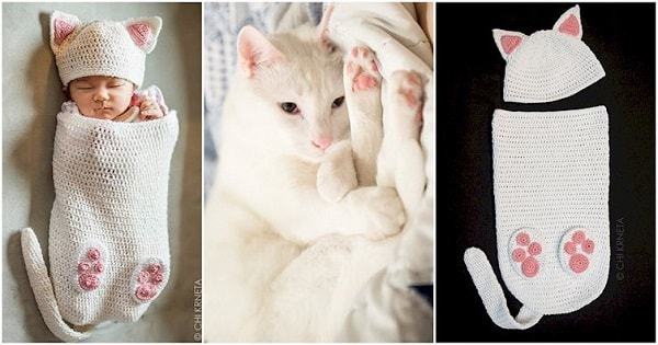 cat pictures