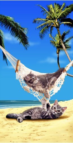 Summer vacation gear that every crazy cat lady needs