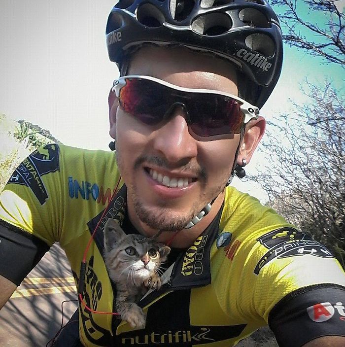 cyclist saves kitten gets kisses