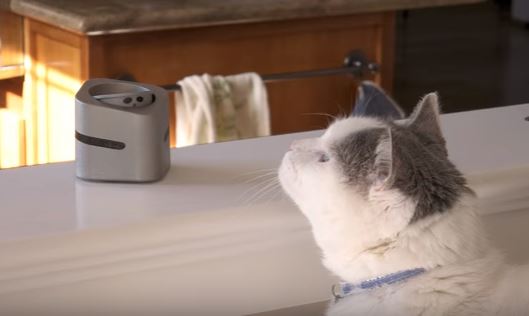 CatNani robot protecting countertops against cats