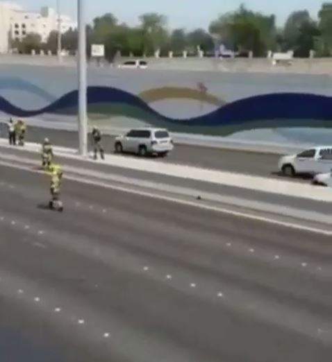 Abu Dhabi highway rescue of cat