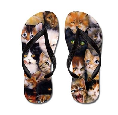 cat wearing flip flops