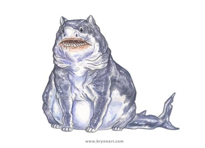 Somebody re imagined sharks  as cats  and the results are 