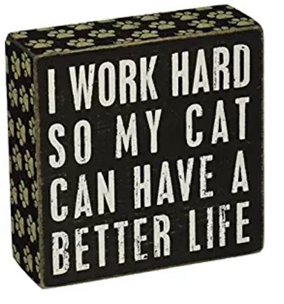i work hard so my cat can have a better life