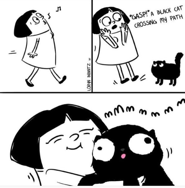 relatable cat comic black cat