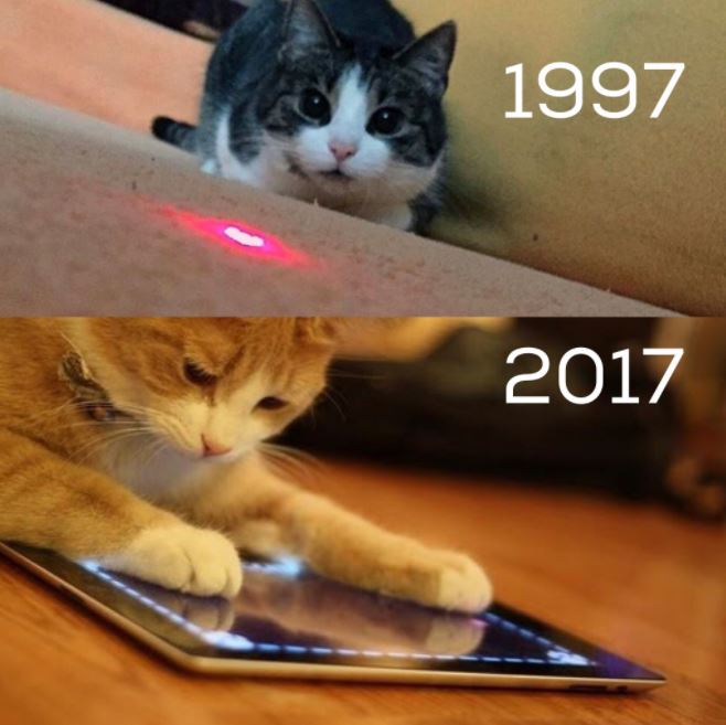 laser vs iPad cat