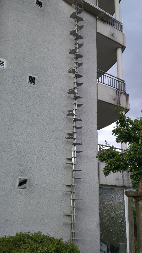 1 Point Safety >> These cat ladders found in Switzerland are pretty epic ... 1 Point Safety >> These cat ladders found in Switzerland are pretty epic ...