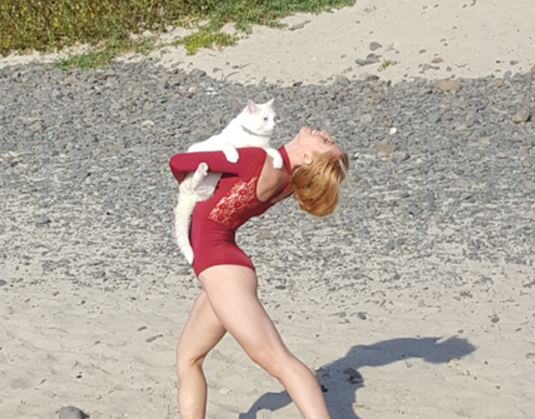 white cat goes to beach and dances with stranger 