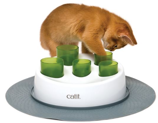 cat food toy puzzle