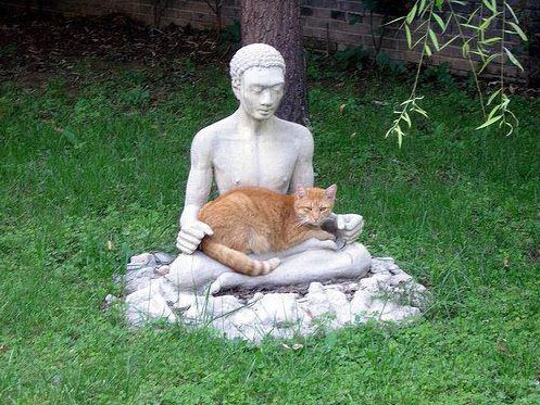 cats befriending statues 3