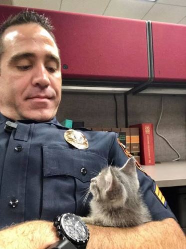police officer cuddling with kitten 2