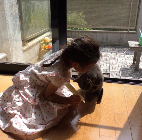 cat comforts crying child