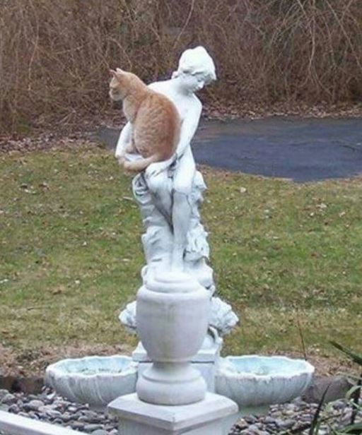 cats befriending statues 6