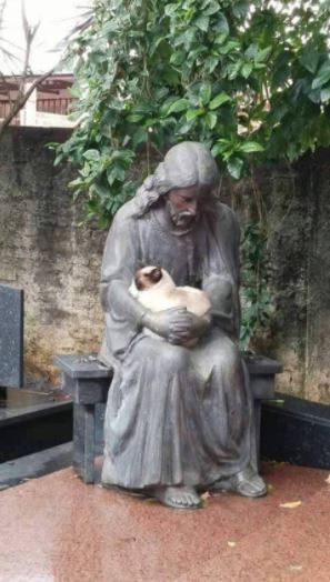 cats befriending statues 1