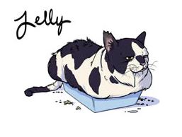 the unadoptables cat comic jelly