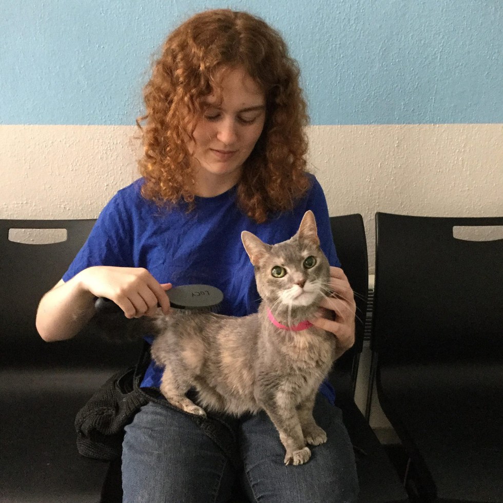 Blind deaf senior cat gets a home when woman asks for the 'least