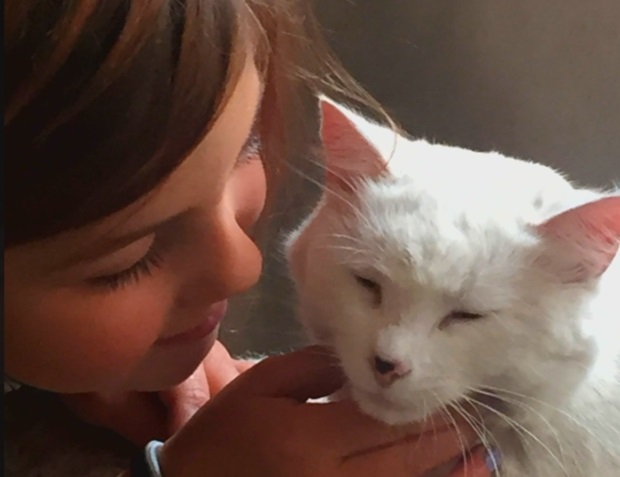 6 year old reunited with best friend cat after wildfire 2