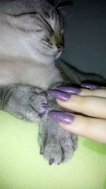 woman and her cat get matching nails 3