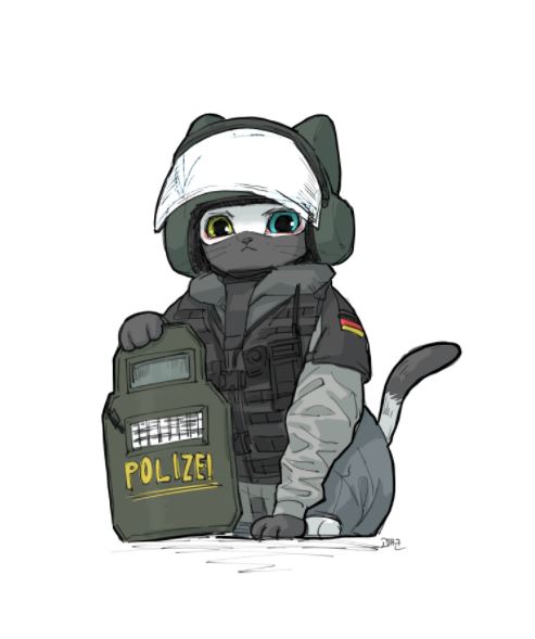 swat team cats 1