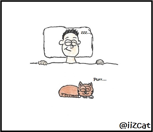 iizcat depression comic 9