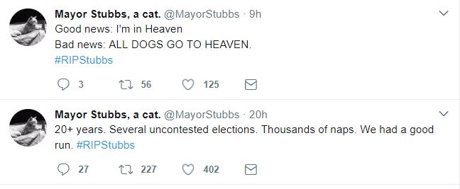 stubbs the cat mayor twitter