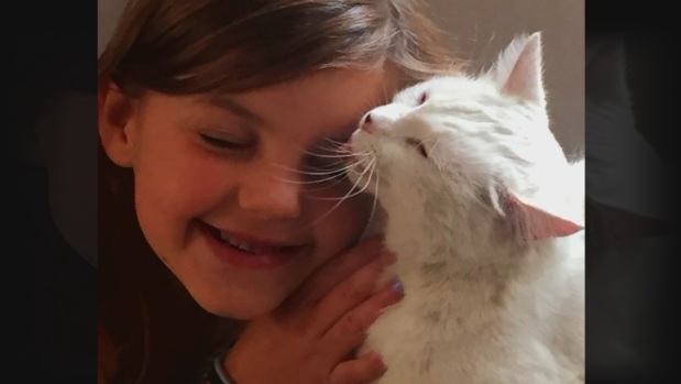 6 year old reunited with her best friend cat after wildfire