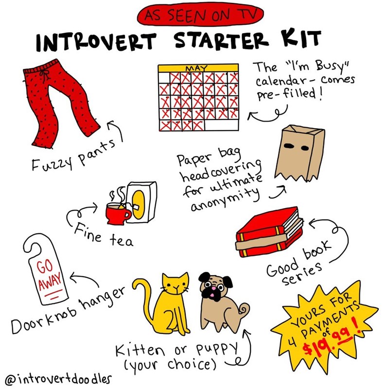 introvert cat lady comics 7