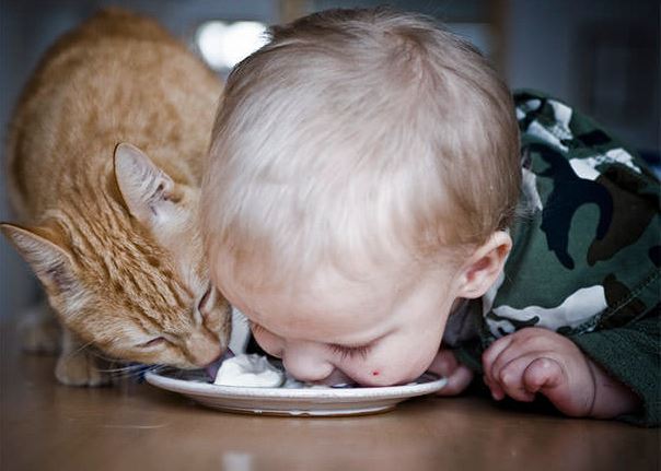 cats and kids 11