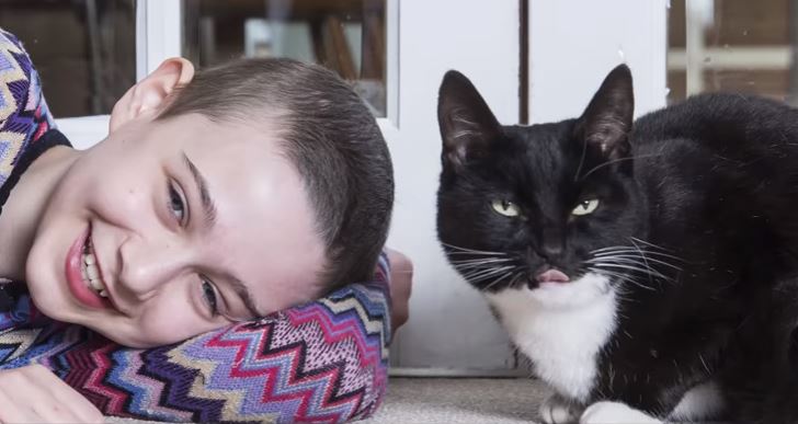 rescue cat cared for cancer patient named cat of the year