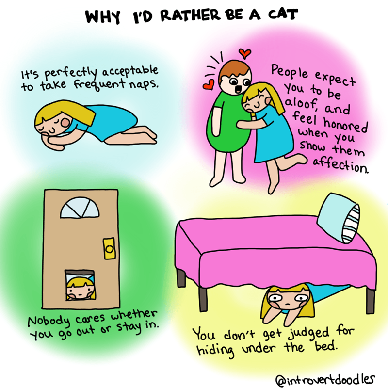 introvert cat lady comics 3