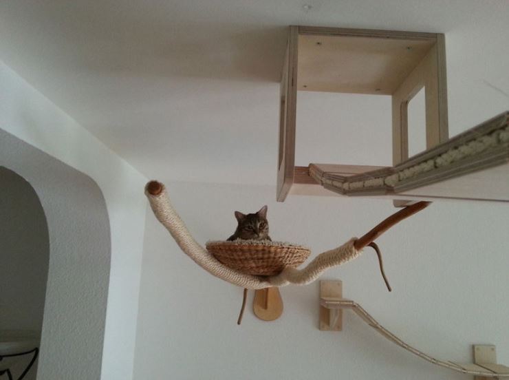This guy designs and builds the most AWESOME cat jungles (Gallery)