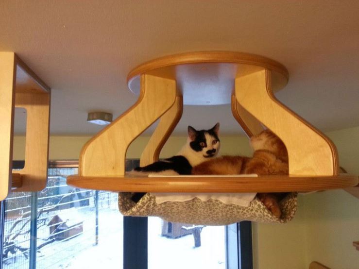 This guy designs and builds the most AWESOME cat jungles (Gallery)