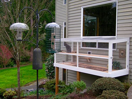 backyard catio