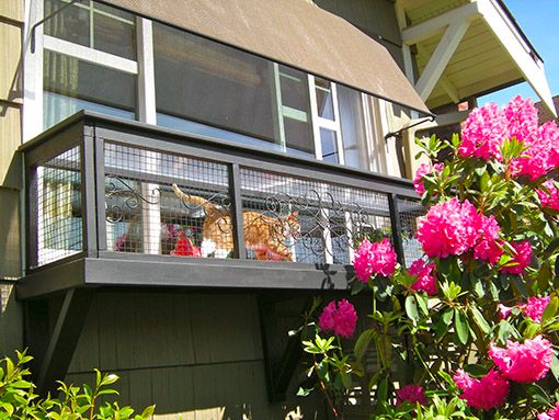 Catios are the new backyard feature that you re going to 