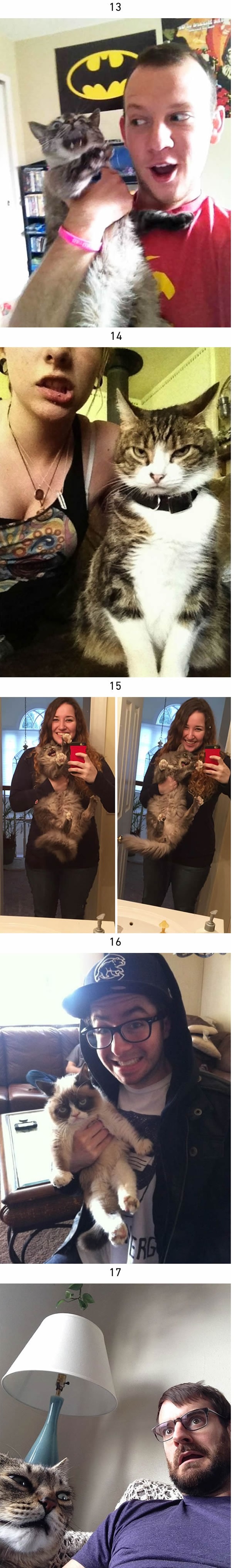 cats annoyed with selfies 3