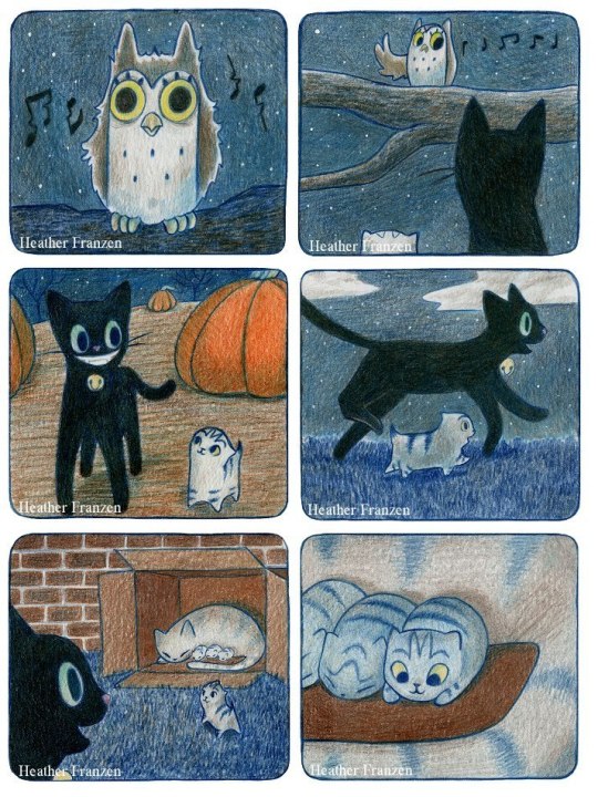 scared kitten meets black cat 7