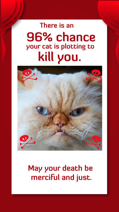 is your cat plotting to kill you app 3