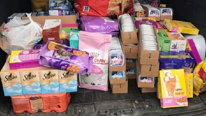 cat food stolen from charity