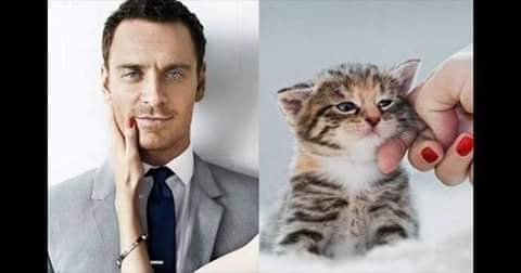 men and cats 10