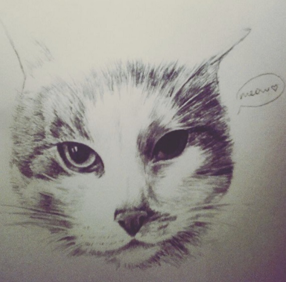 cuqui cat drawing