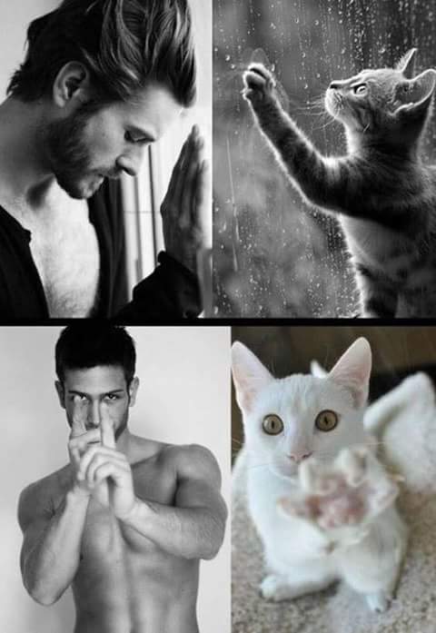 men and cats 3