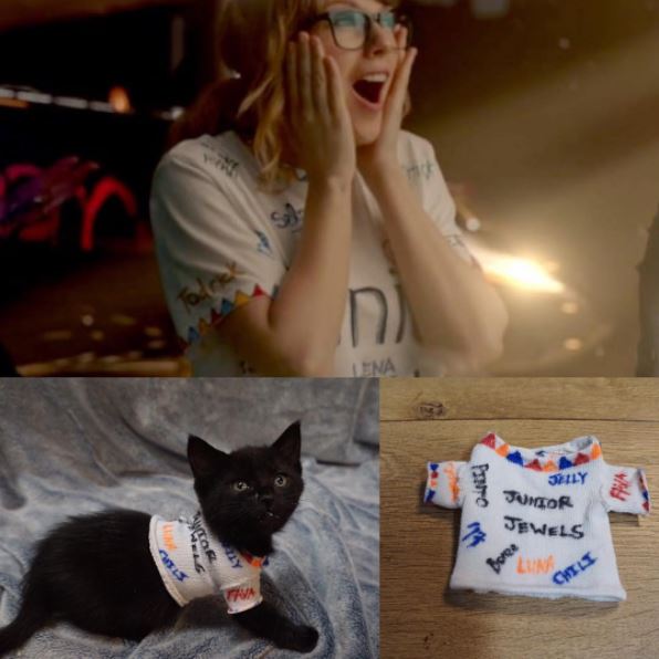 taylor swift cat 7