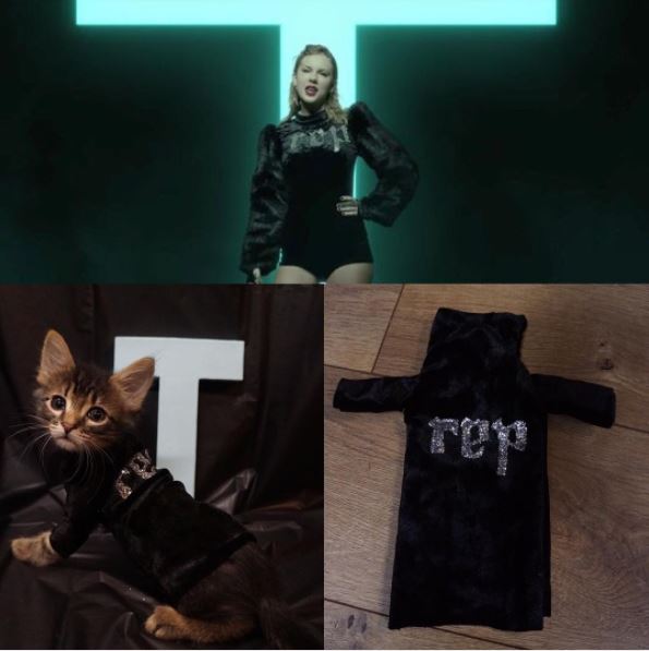 taylor swift cat 5