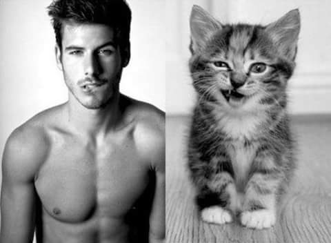 men and cats 8