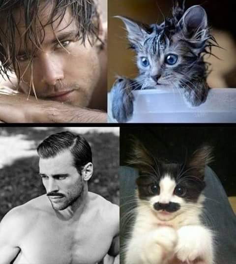 men and cats 5