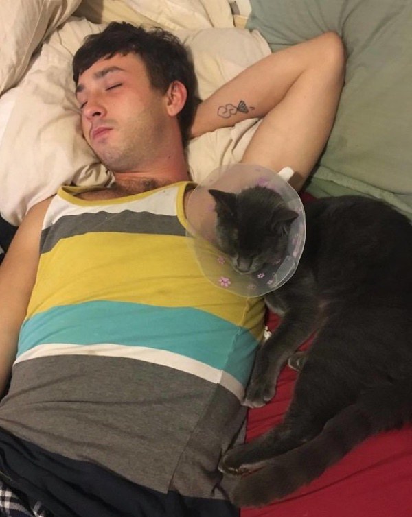 man creates cone of shame to support kitten 3