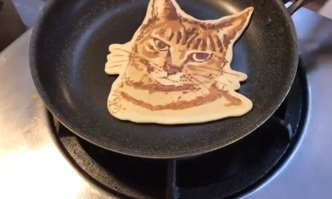 pancake the cat