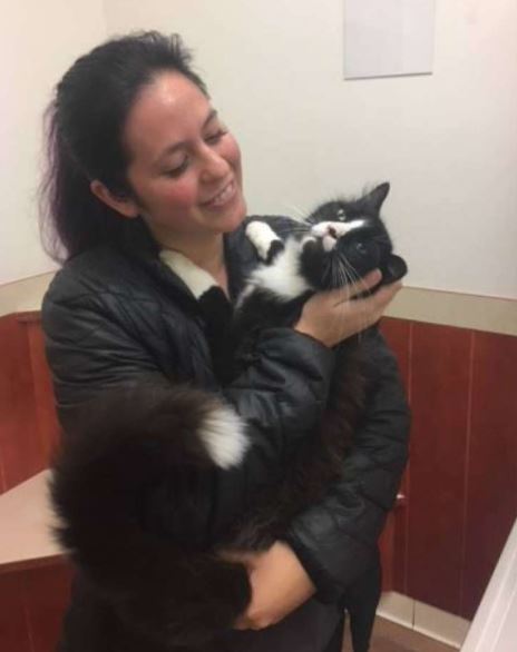 cat found 80 miles reunited with owner thanks to microchip