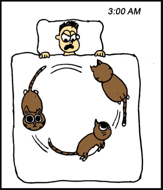 iizcat new years resolutions comic 3