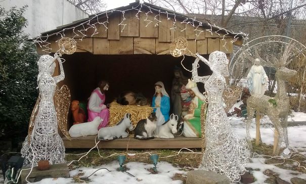 cats crashing nativity scenes 4